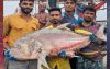 কুয়াকাটায় জেলের জালে ৫৪ কেজির তবল মাছ, বিক্রি ৩৬ হাজারে