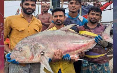 কুয়াকাটায় জেলের জালে ৫৪ কেজির তবল মাছ, বিক্রি ৩৬ হাজারে