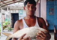 এক ইলিশ সাড়ে ৮ হাজার টাকায় বিক্রি