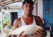 এক ইলিশ সাড়ে ৮ হাজার টাকায় বিক্রি
