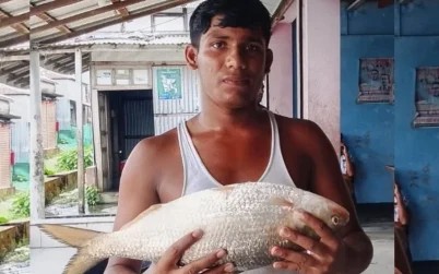 এক ইলিশ সাড়ে ৮ হাজার টাকায় বিক্রি