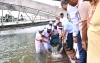 জিয়া ‍উদ্যানের লেকে মাছের পোনা অবমুক্ত করলেন প্রধানমন্ত্রী