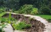 বাবুগঞ্জে নদীভাঙন বিলীনের পথে বেড়িবাঁধ, যোগাযোগ বিচ্ছিন্ন হওয়ার শঙ্কা