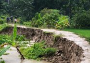 বাবুগঞ্জে নদীভাঙন বিলীনের পথে বেড়িবাঁধ, যোগাযোগ বিচ্ছিন্ন হওয়ার শঙ্কা