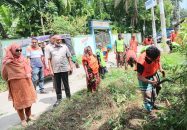 চরফ্যাশনে ডেঙ্গু প্রতিরোধে অবাঞ্চিত বন-জঙ্গল, ময়লা-আবর্জনা অপসারণ