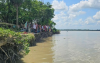 পায়রা নদীর ভাঙনে নিঃস্ব শতাধিক পরিবার