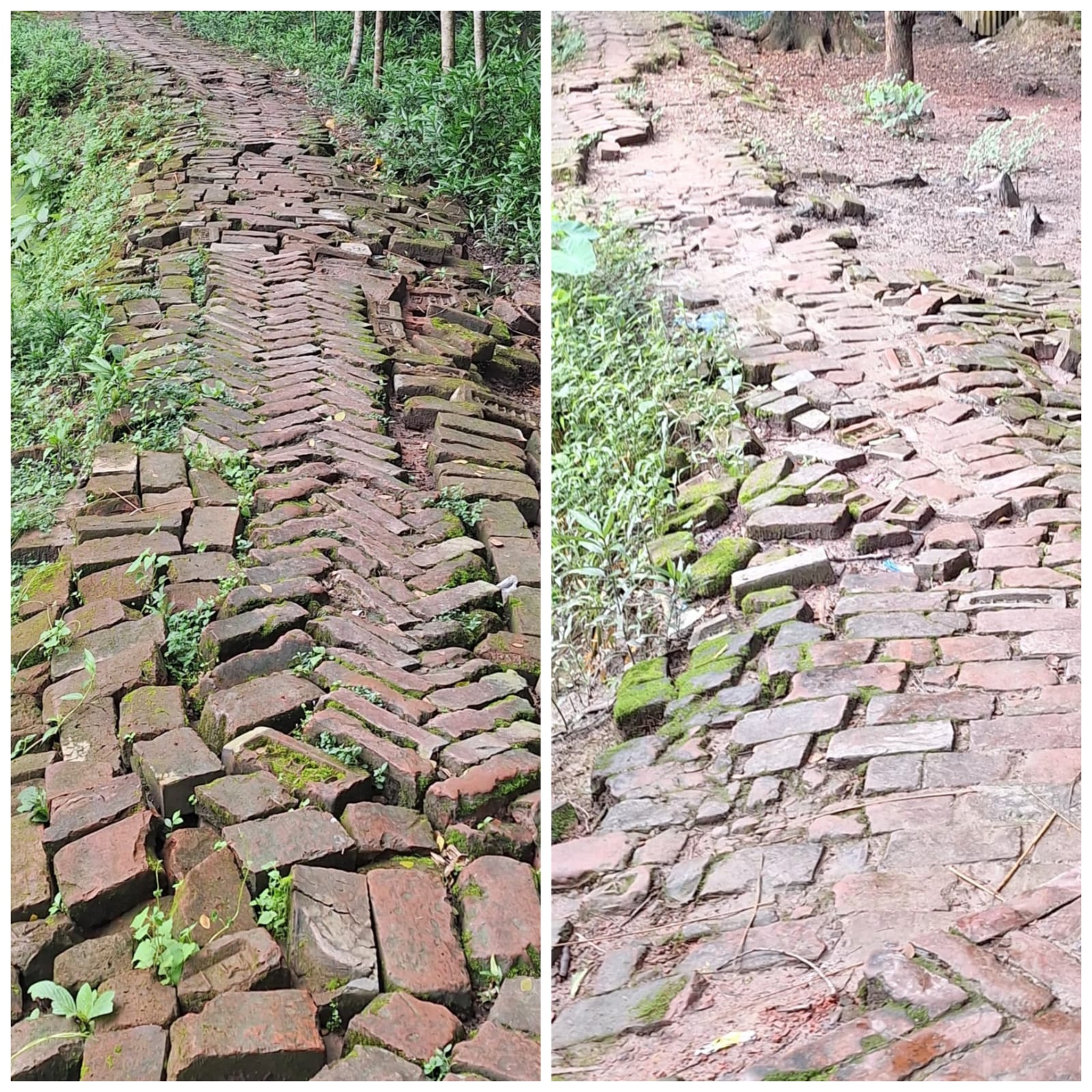 বাকেরগঞ্জের নিমতলা–বাদলপাড়া সড়কের বেহাল দশা, সংস্কারের দাবি স্থানীয়দের