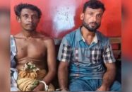 নেছারাবাদে ২২০ কেজি হরিণের মাংসসহ গ্রেপ্তার ২
