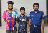 মনপুরায় ইয়াবাসহ দুই যুবক গ্রেপ্তার