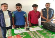 মনপুরায় ইয়াবাসহ দুই যুবক আটক