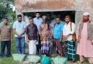 কলাপাড়ায় চার বন্য বানরসহ আটক ৪
