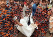 পাথরঘাটায় বিদ্যুৎস্পৃষ্ট হয়ে জেলের মৃত্যু, আহত ১
