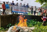 বোরহানউদ্দিনে কারেন্ট জাল পুড়িয়ে ধ্বংস