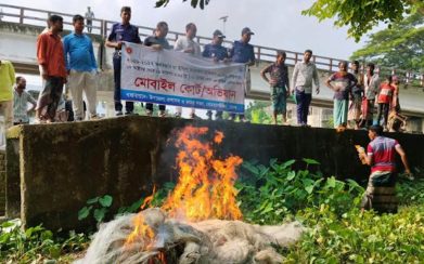 বোরহানউদ্দিনে কারেন্ট জাল পুড়িয়ে ধ্বংস