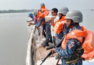 মা ইলিশ রক্ষায় সাগর-নদীতে নৌবাহিনীর কঠোর নজরদারি