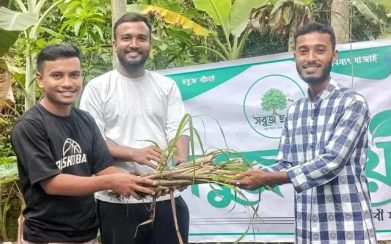 আমতলীতে সবুজ ছায়া যুব সংগঠনের উদ্যোগে আখের চারা বিতরণ