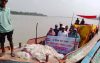 বাকেরগঞ্জে মা ইলিশ সংরক্ষণে অভিযান, ৬০ হাজার মিটার কারেন্ট জাল জব্দ