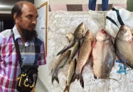 পিরোজপুরে সরকারি পুকুরের মাছ ধরে বাড়ি নেওয়ার সময় খাদ্য কর্মকর্তা আটক